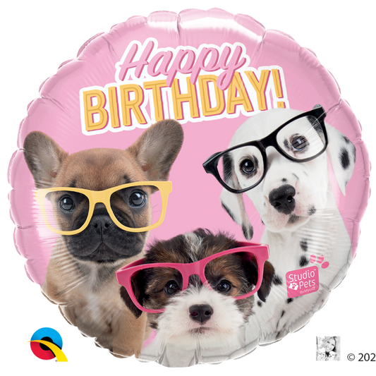 18" Birthday Puppies In Glasses