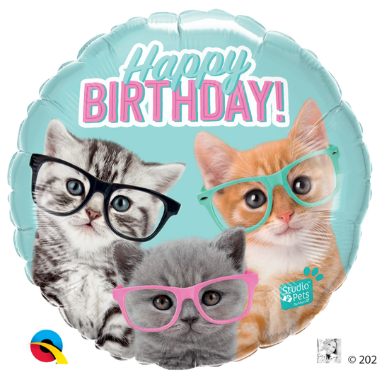 18" Birthday Kittens In Glasses