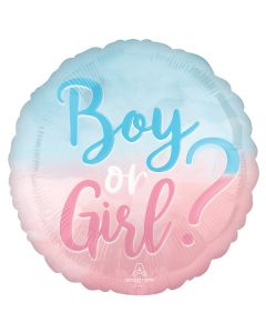 18"Boy? or Girl?