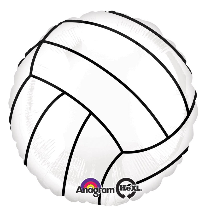 18" Volleyball Pkg